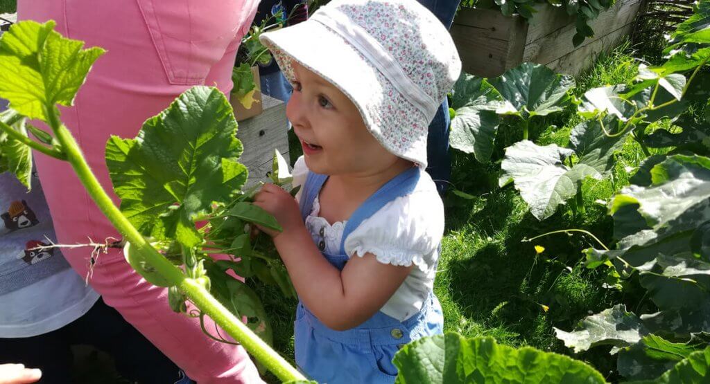 Very smiley child in veg plot