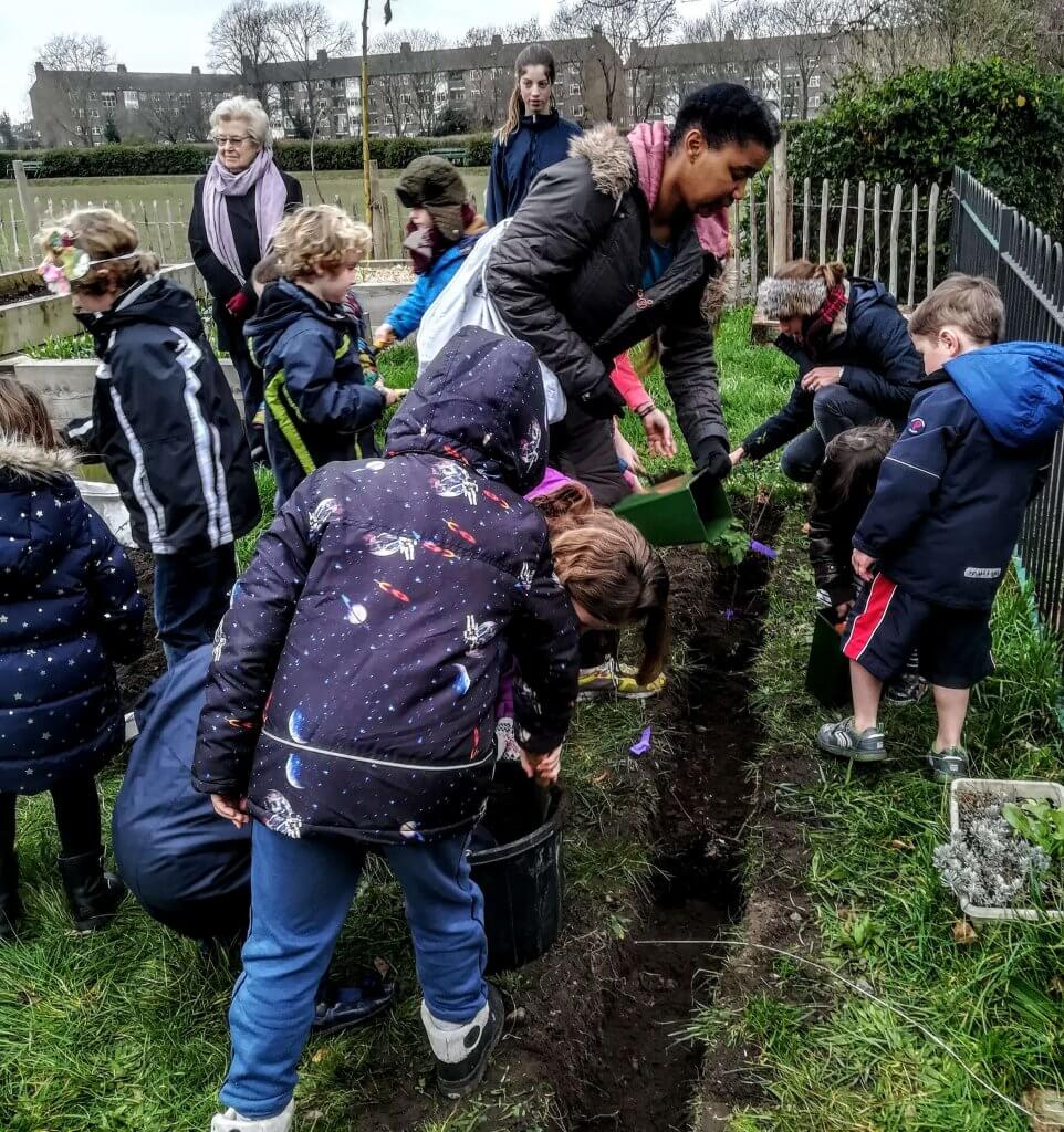 Adults and children planting fruit bushes