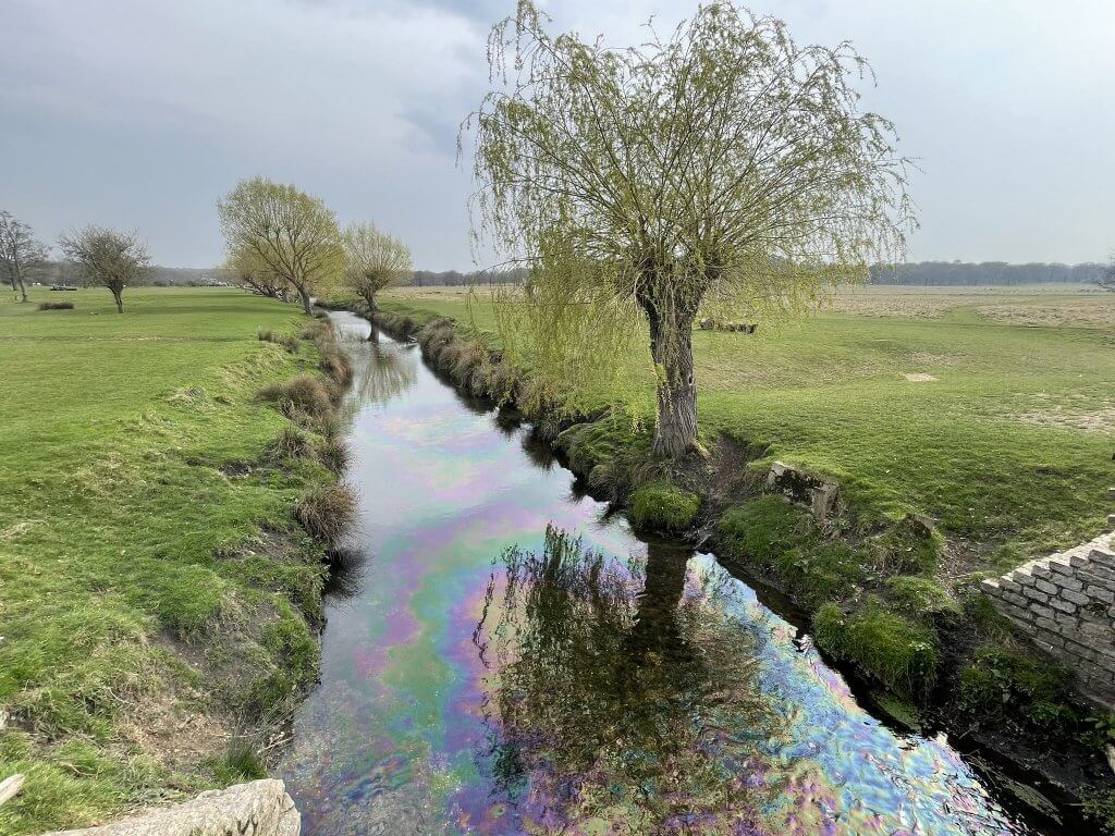 Oil Spill in Beverley Brook. Photo credit: Friends of Richmond Park