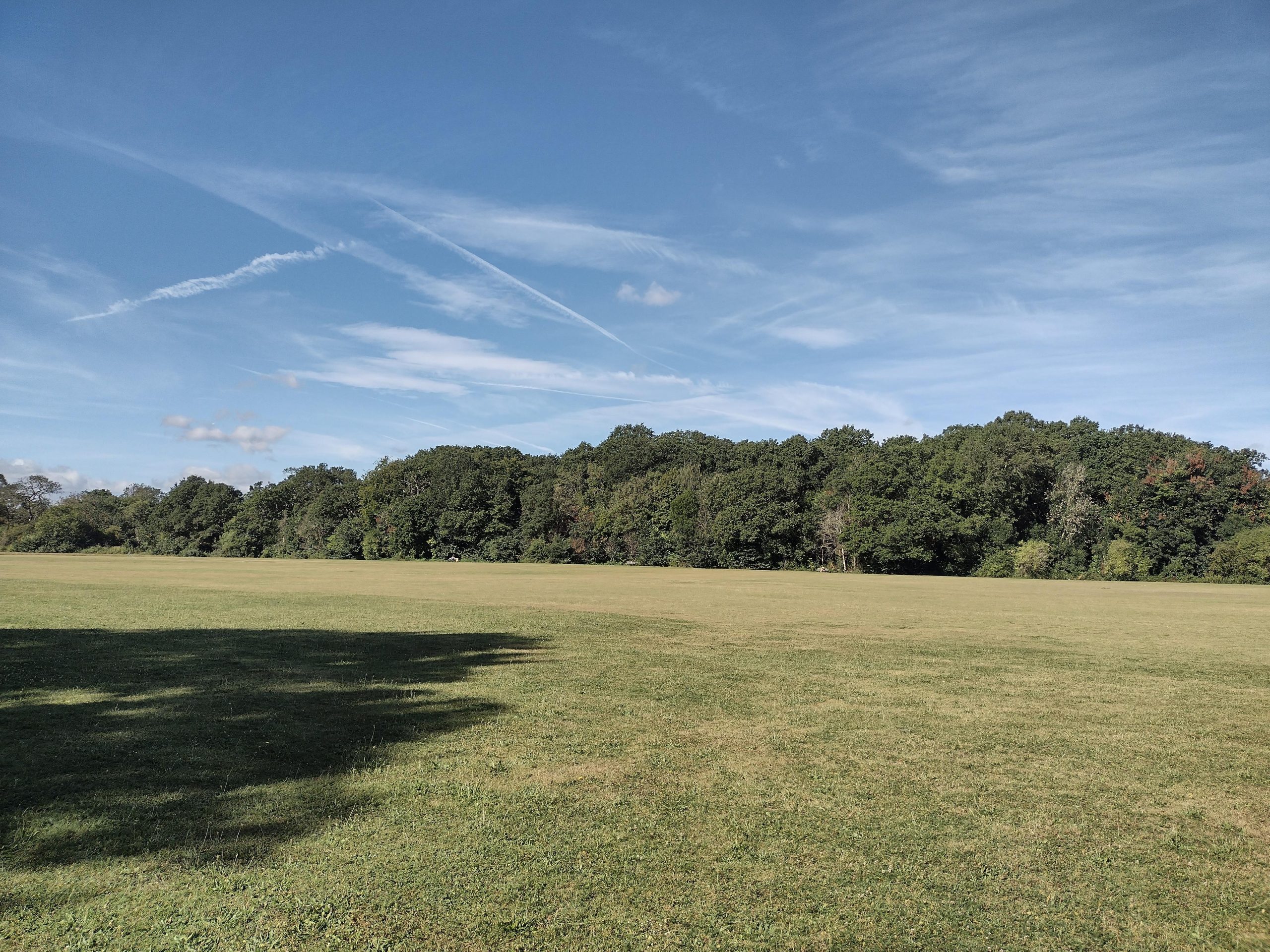 Nature Walk on Palewell Common - Barnes Common Limited