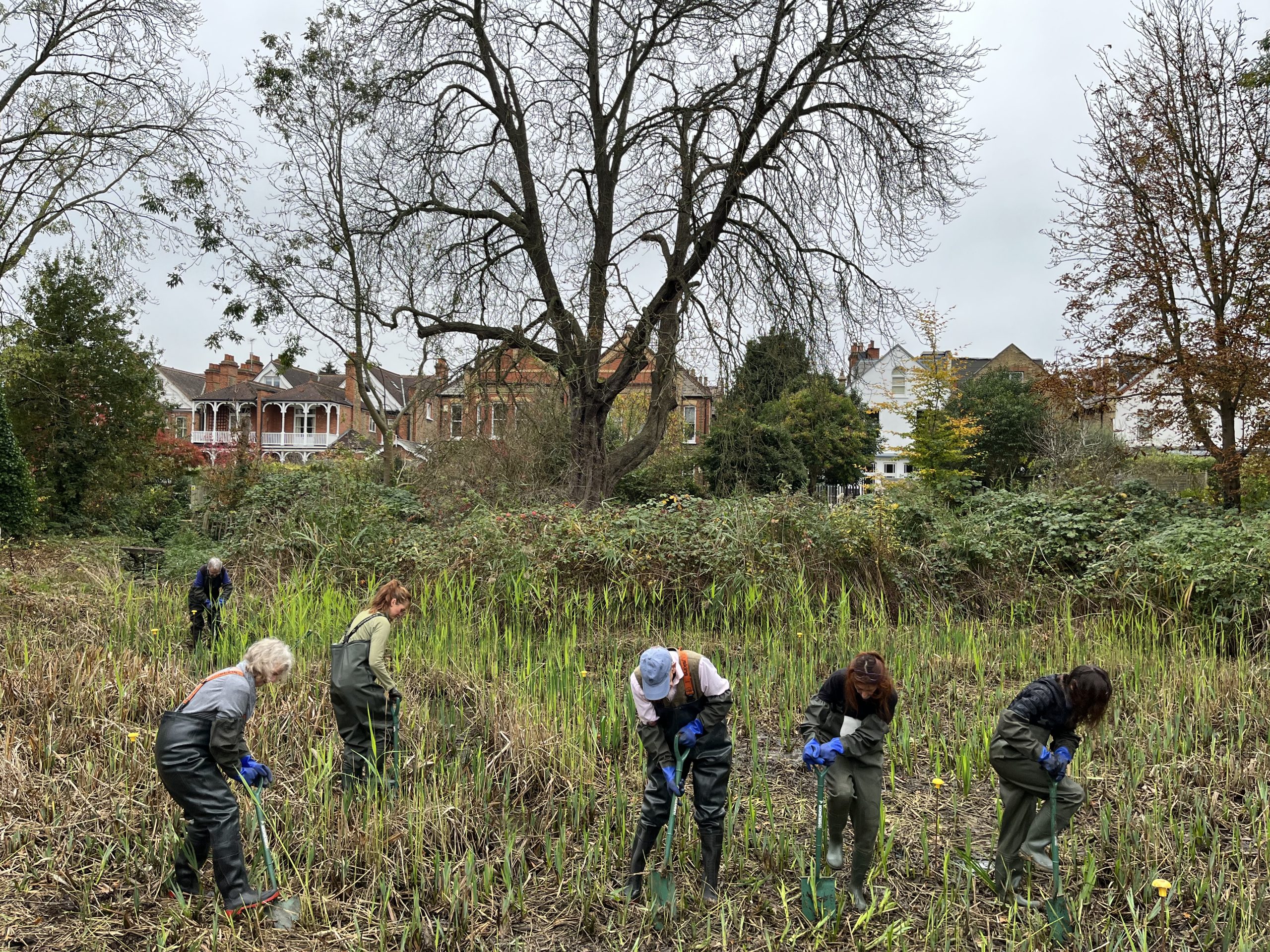 A Successful Year of Community BlueScapes - Barnes Common Limited