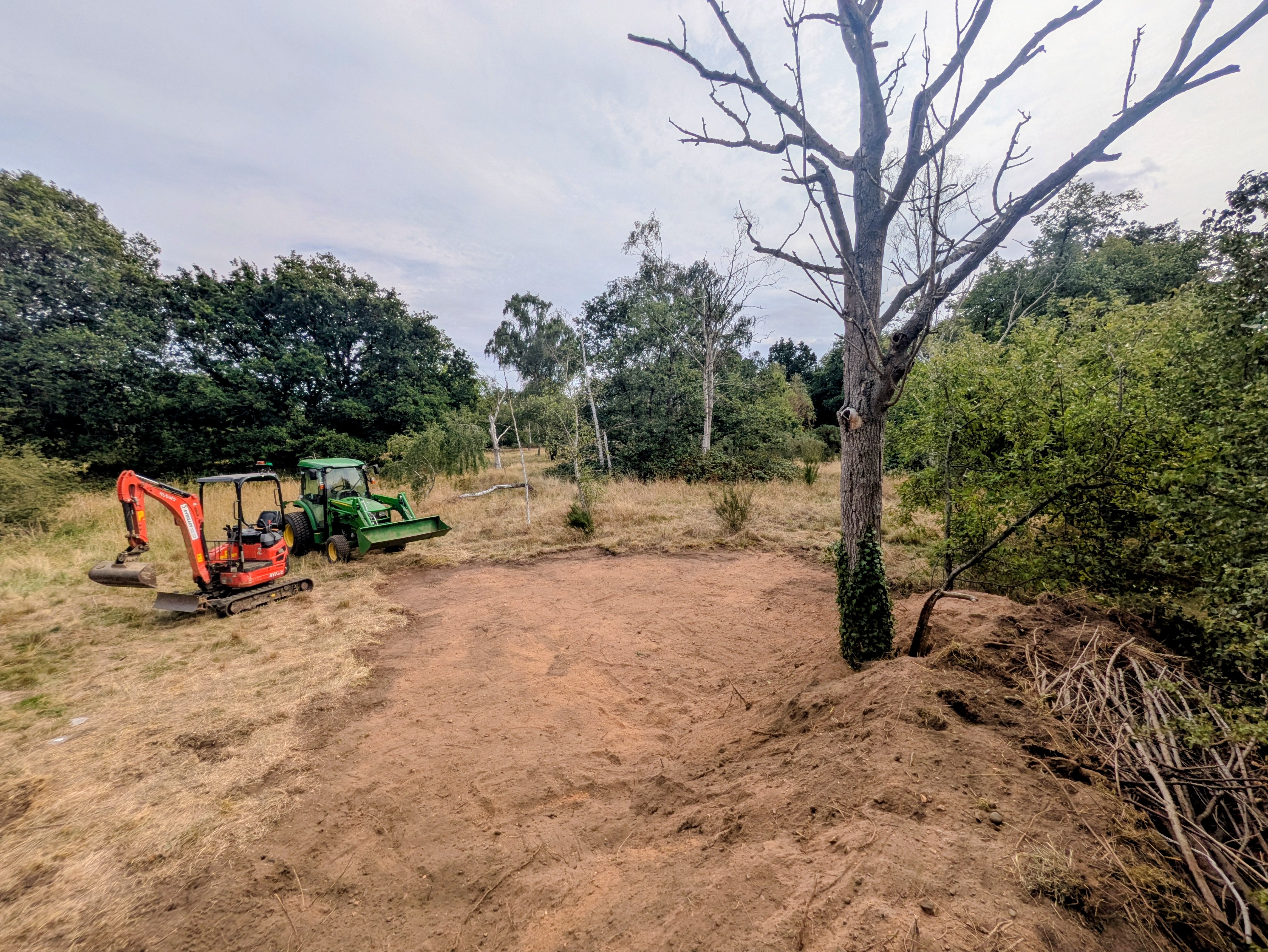 Acid grassland soil scrape